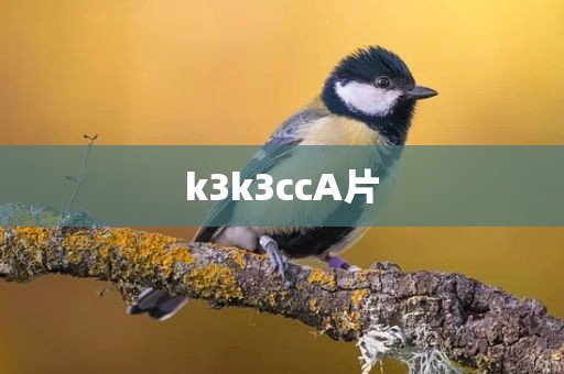 k3k3ccA片
