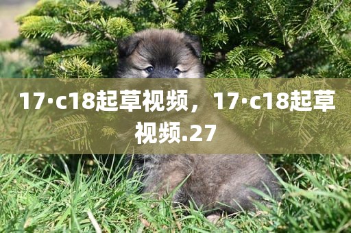 17·c18起草视频，17·c18起草视频.27