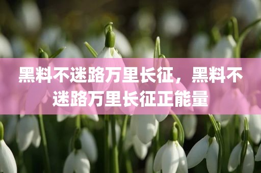 黑料不迷路万里长征，黑料不迷路万里长征正能量