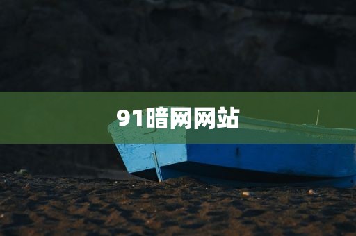 91暗网网站