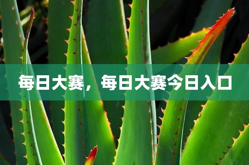 每日大赛，每日大赛今日入口