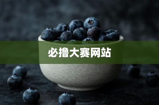 必撸大赛网站
