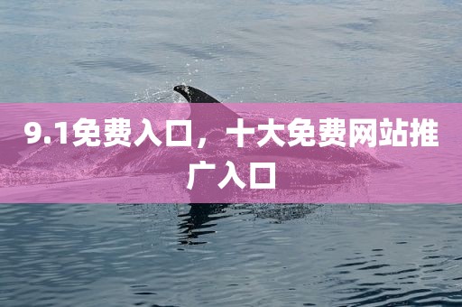 9.1免费入口，十大免费网站推广入口