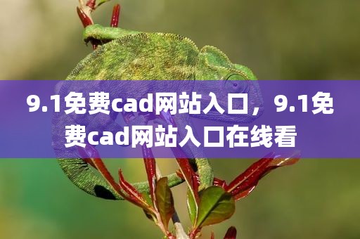 9.1免费cad网站入口，9.1免费cad网站入口在线看