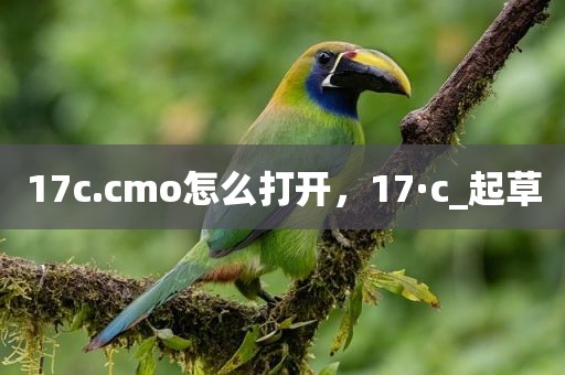 17c.cmo怎么打开，17·c_起草
