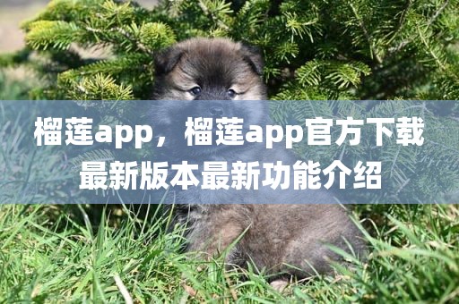 榴莲app，榴莲app官方下载最新版本最新功能介绍
