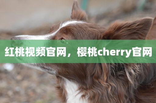 红桃视频官网，樱桃cherry官网