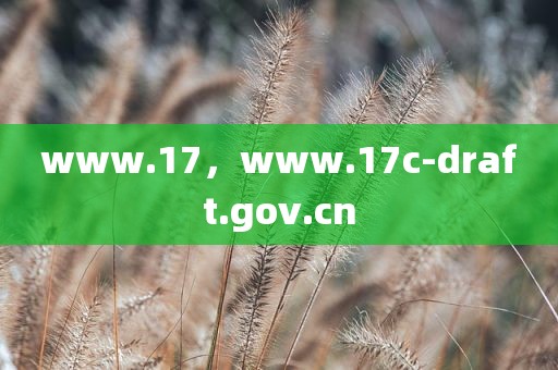 www.17，www.17c-draft.gov.cn