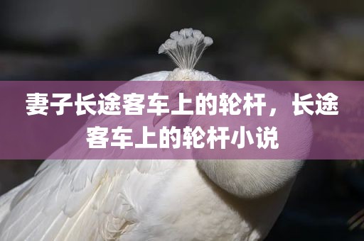 妻子长途客车上的轮杆，长途客车上的轮杆小说
