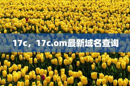17c，17c.om最新域名查询