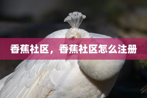 香蕉社区，香蕉社区怎么注册