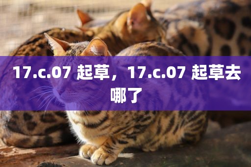 17.c.07 起草，17.c.07 起草去哪了
