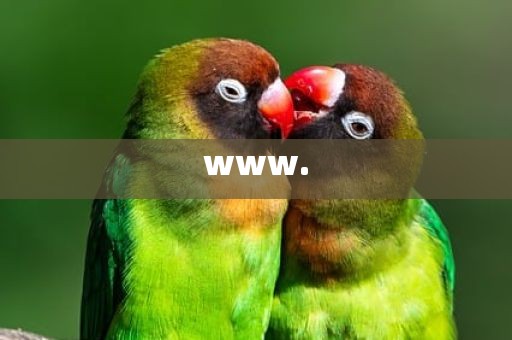 www.