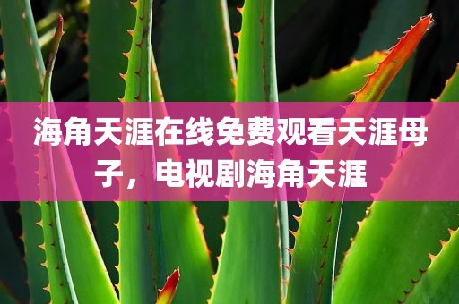 海角天涯在线免费观看天涯母子，电视剧海角天涯