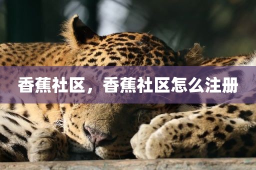 香蕉社区，香蕉社区怎么注册