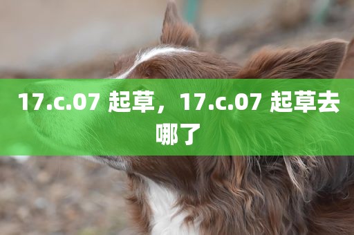 17.c.07 起草，17.c.07 起草去哪了
