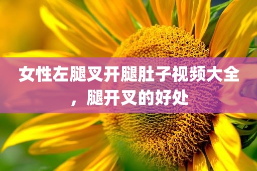 女性左腿叉开腿肚子视频大全，腿开叉的好处