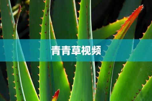 青青草视频
