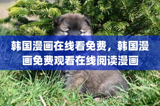 韩国漫画在线看免费，韩国漫画免费观看在线阅读漫画