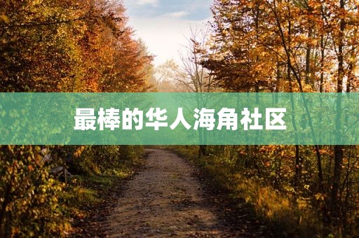 最棒的华人海角社区