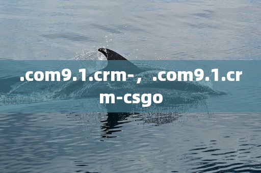 .com9.1.crm-，.com9.1.crm-csgo