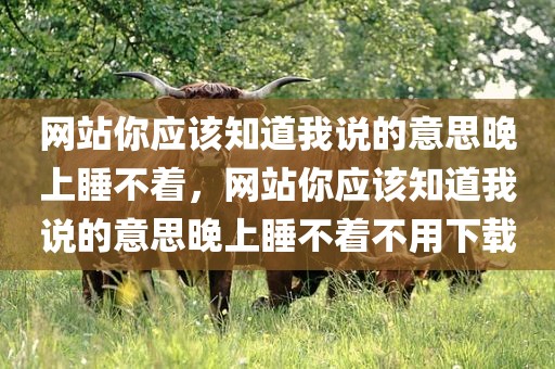 网站你应该知道我说的意思晚上睡不着，网站你应该知道我说的意思晚上睡不着不用下载