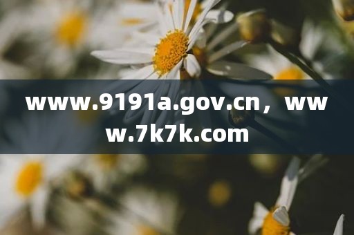 www.9191a.gov.cn，www.7k7k.com