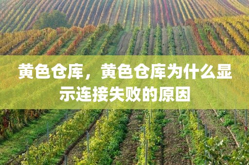 黄色仓库，黄色仓库为什么显示连接失败的原因
