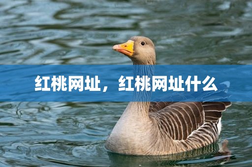 红桃网址，红桃网址什么