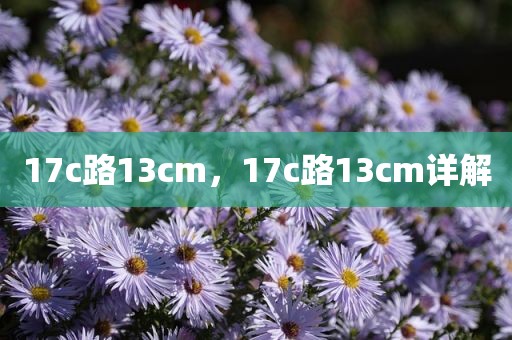 17c路13cm，17c路13cm详解