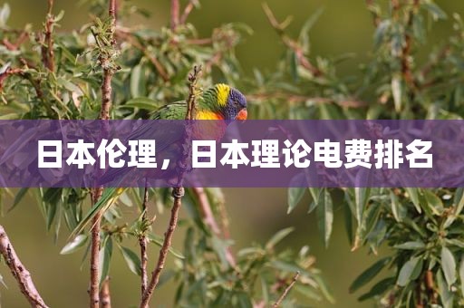 日本伦理，日本理论电费排名