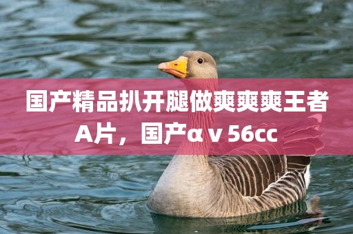 国产精品扒开腿做爽爽爽王者A片，国产αⅴ56cc