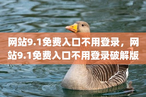 网站9.1免费入口不用登录，网站9.1免费入口不用登录破解版