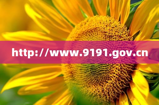 http://www.9191.gov.cn