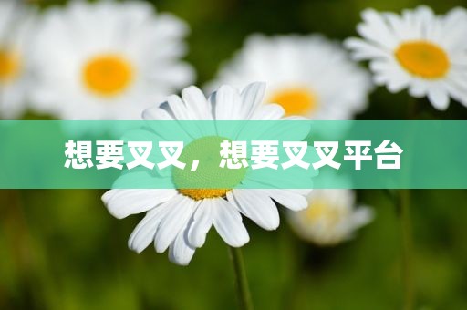 想要叉叉，想要叉叉平台