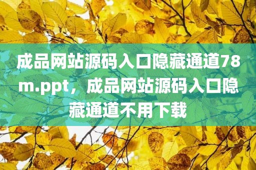 成品网站源码入口隐藏通道78m.ppt，成品网站源码入口隐藏通道不用下载