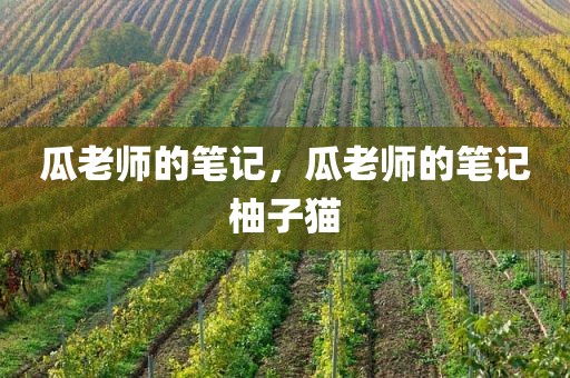 瓜老师的笔记，瓜老师的笔记柚子猫