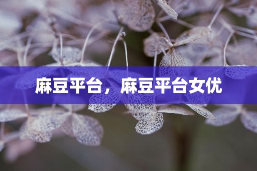 麻豆平台，麻豆平台女优