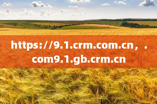 https://9.1.crm.com.cn，.com9.1.gb.crm.cn