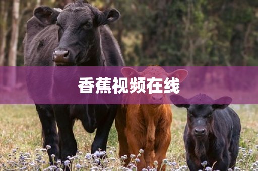 香蕉视频在线