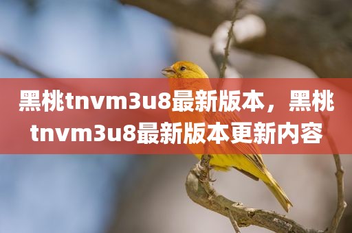 黑桃tnvm3u8最新版本，黑桃tnvm3u8最新版本更新内容