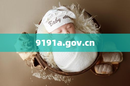 9191a.gov.cn