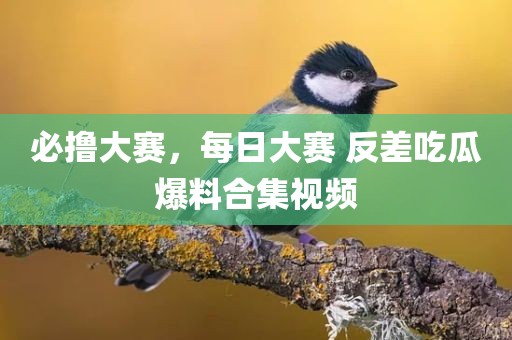 必撸大赛，每日大赛 反差吃瓜爆料合集视频