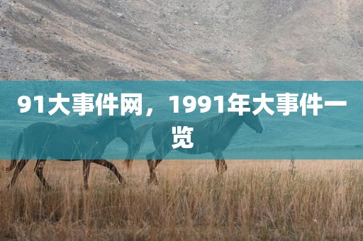 91大事件网，1991年大事件一览