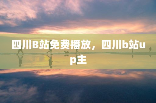 四川B站免费播放，四川b站up主