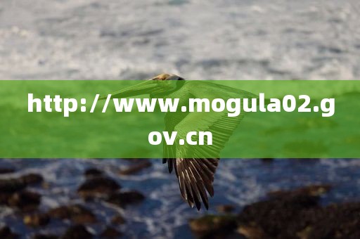 http://www.mogula02.gov.cn