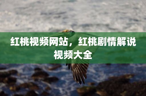 红桃视频网站，红桃剧情解说视频大全
