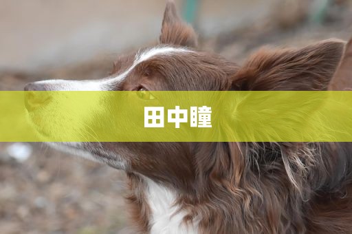 田中瞳