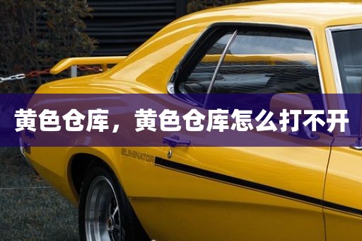 黄色仓库，黄色仓库怎么打不开