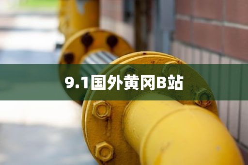 9.1国外黄冈B站